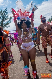 2016-05-18-Bermuda-Carnival-11
