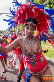 2016-05-18-Bermuda-Carnival-201