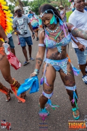 2016-05-18-Bermuda-Carnival-248