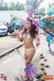 2016-05-18-Bermuda-Carnival-472