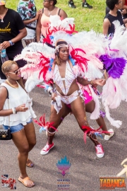 2016-05-18-Bermuda-Carnival-487