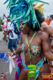 2016-05-18-Bermuda-Carnival-550