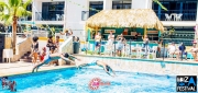 Ibiza-Soca-Festival-Jambolassie-Pool-Party-12-05-2017-139