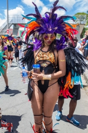 St-Lucia-Carnival-Monday-18-07-2016-178
