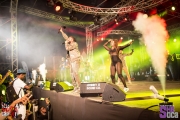Army-Fete-Stage-17-02-2017-150
