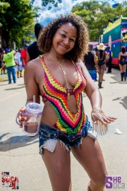 Trinidad-Carnival-Monday-27-02-2017-176
