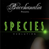 bacchanalia-01