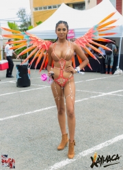2017-04-23 Jamaica Carnival-210