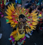 DSC03239