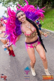 2016-05-18-Bermuda-Carnival-127