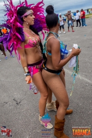 2016-05-18-Bermuda-Carnival-524