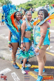 2016-05-18-Bermuda-Carnival-638