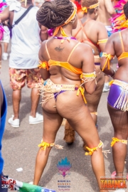 2016-05-18-Bermuda-Carnival-657