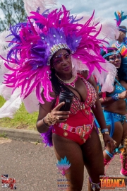 2016-05-18-Bermuda-Carnival-8