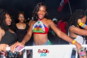 2017-07-08 Bottle Fete-24