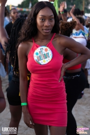 Caribbean-Beach-Carnival-14-07-2019-245