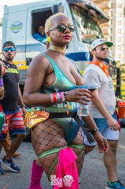 Trinidad-Carnival-Monday-12-02-2018-223