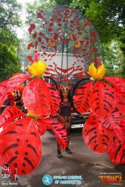 Manchester-Carnival-13-08-2016-021