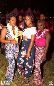 Mai-Tai-Miami-Carnival-06-10-2018-230