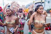 St-Lucia-Carnival-Monday-18-07-2016-81