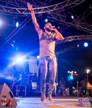 Army-Fete-Stage-17-02-2017-159