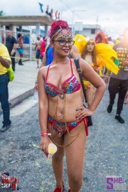 Trinidad-Carnival-Tuesday-28-02-2017-291