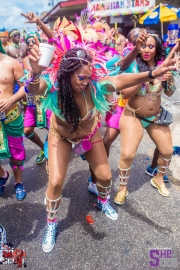 Trinidad-Carnival-Tuesday-28-02-2017-84
