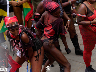 DSC08451_DxO